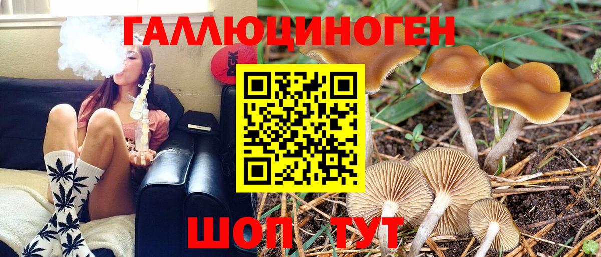 Галлюциногенные грибы Cubensis Тула