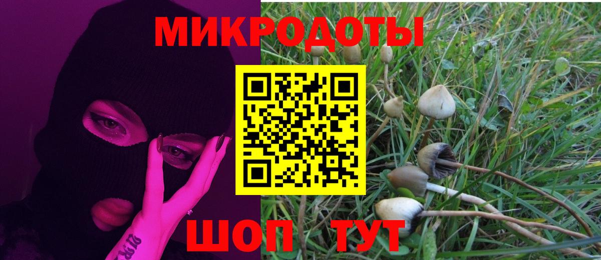 Псилоцибиновые грибы Cubensis  купить наркотики сайты  Вход с VPN  Тула  Галлюциногенные грибы Cubensis 